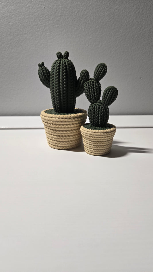 Cactus set